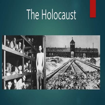 The Holocaust ss11