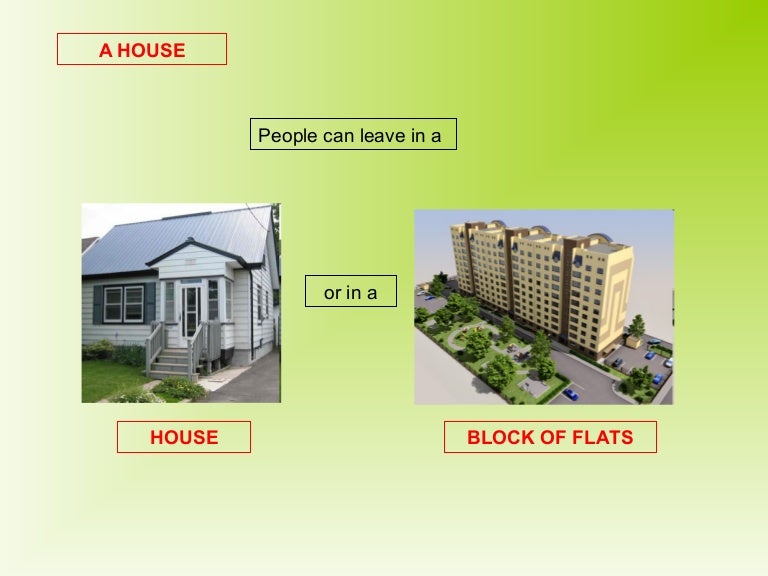 The house