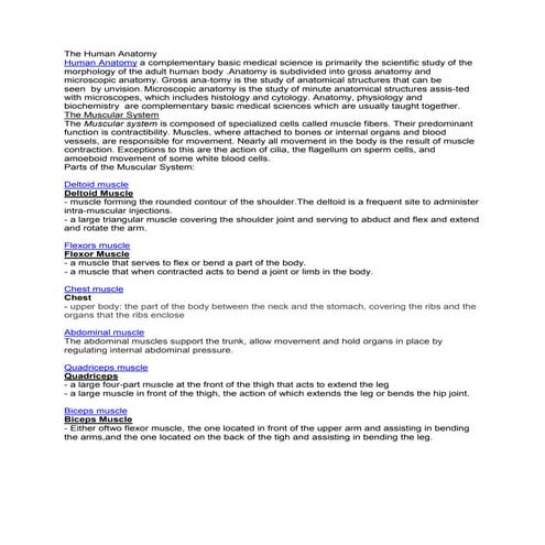 The Human Anatomy.docx