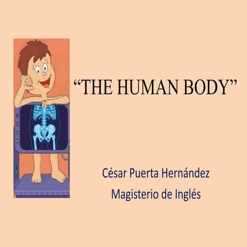 The Human Body