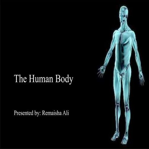 The human body