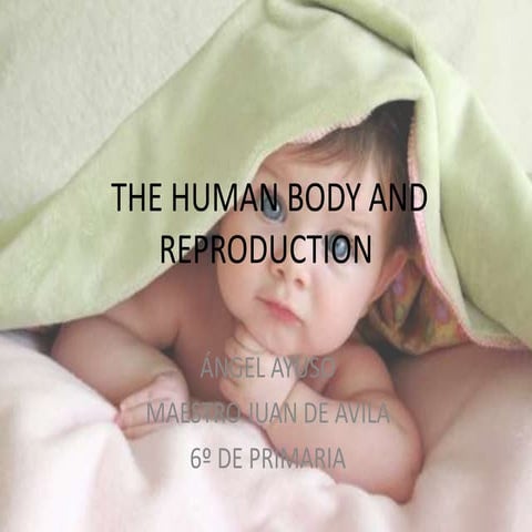 The human body and reproduction