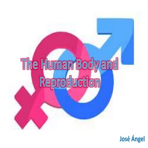 The Human Body and Reprodution