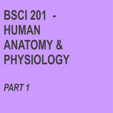 The human body an orientation