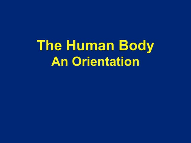 The human body an orientation.