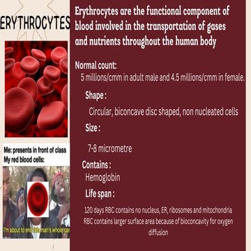 Rbc vs wbc, basic difference between RBCs & WBCs, blood cells, blood | PDF