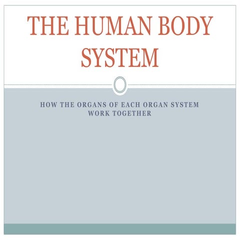 The human body system