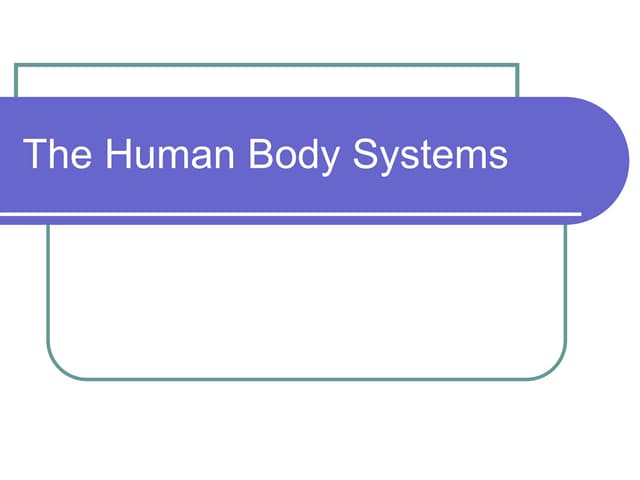 The human body systems2 Biology Diagrams