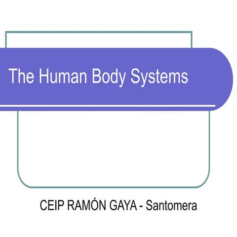 The human body systems for kids (year 6 -  revision)