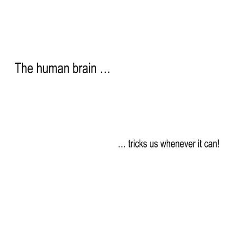 The Human Brain