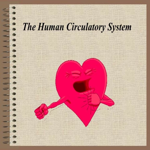 The human circulatory system2