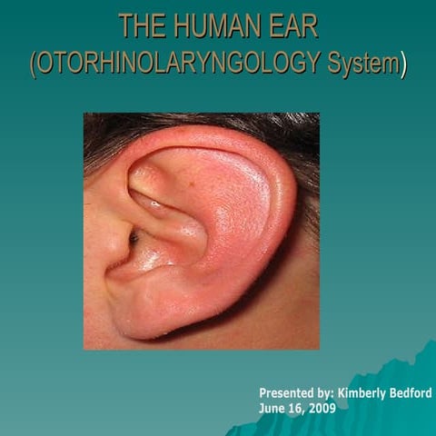 The Ear | PPTX
