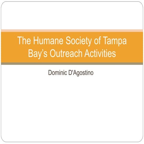 The Humane Society of Tampa Bay’s Outreach Activities