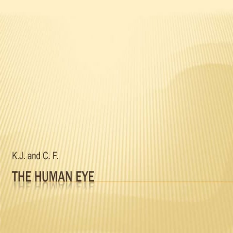 The human eye