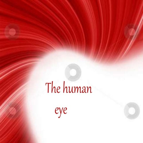 The human eye 