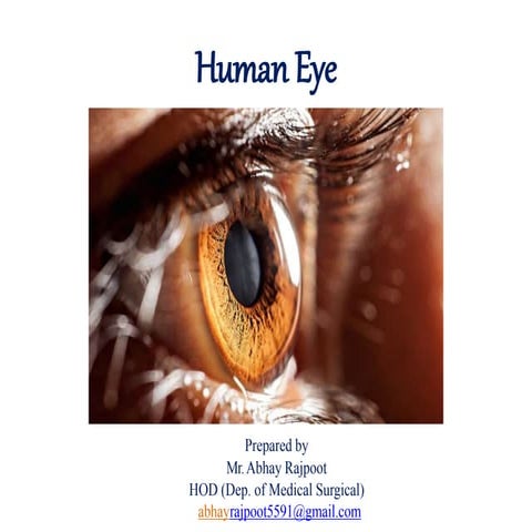 The human eye