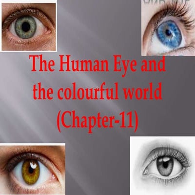 human eye and the colourfull world ppt