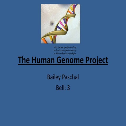 The human genome project