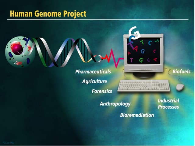 The human genome project