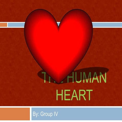 The Human Heart