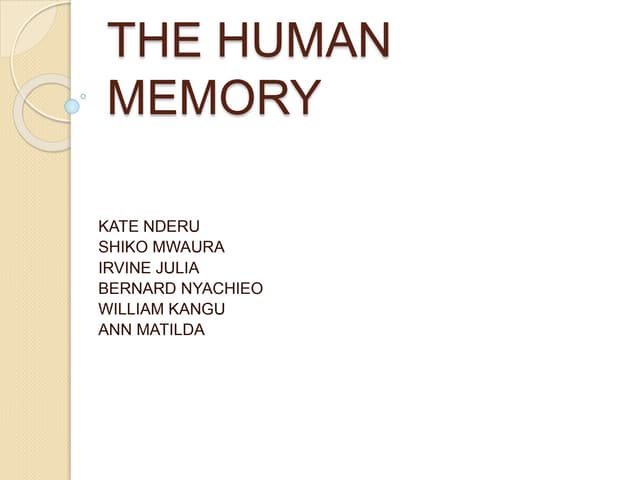 The human memory