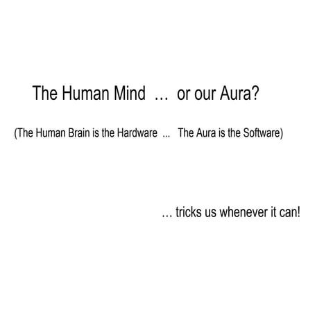 The Human Mind