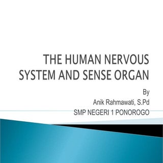 The human nervous system and sense ...