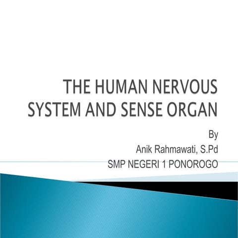 The human nervous system and sense organ