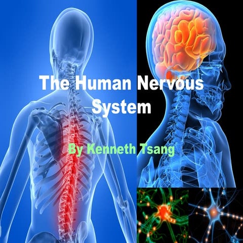 Grade 9 INTRA - The Human Nervous System (reference)