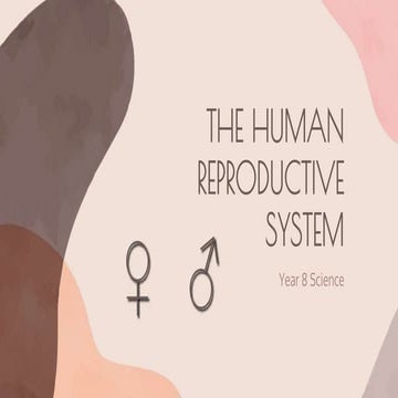 The Human Reproduction System.pptx