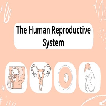 The Human Reproductive System control.pptx