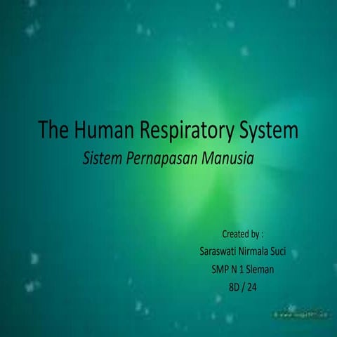 The human respiratory system