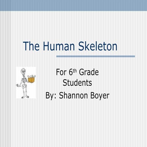 The human skeleton