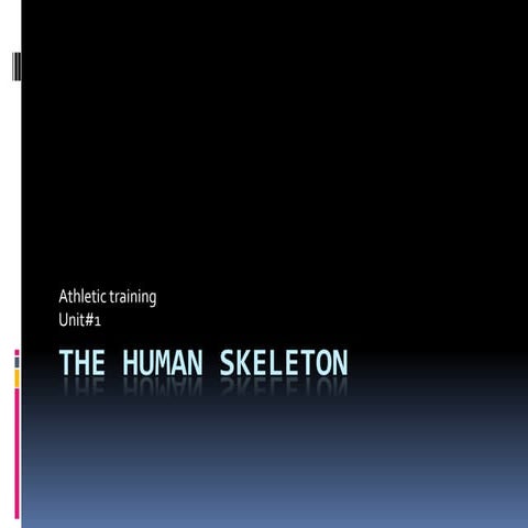 The human skeleton part 1