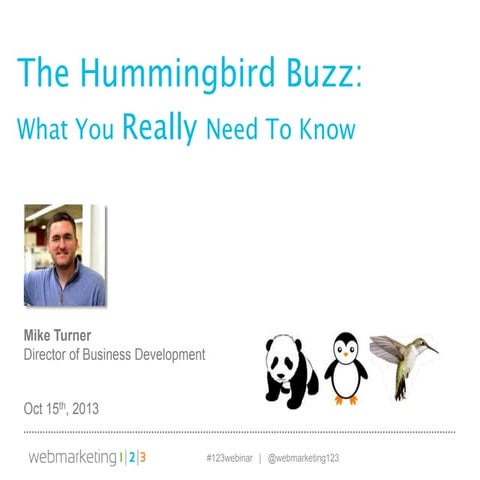 The Hummingbird Buzz: What You Really Need to Know