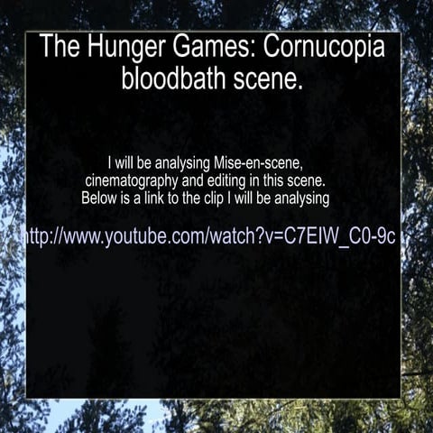 The hunger games presentation