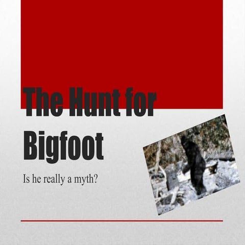 The hunt for bigfoot