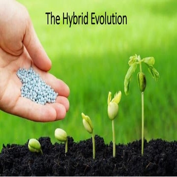 The Hybrid Event Evolution