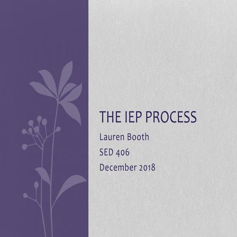 The IEP Process | PPTX