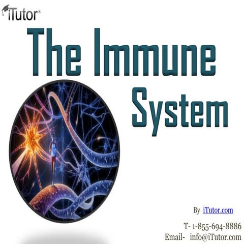 the-immune-system-ppt