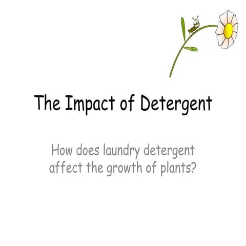 The Impact Of Detergent