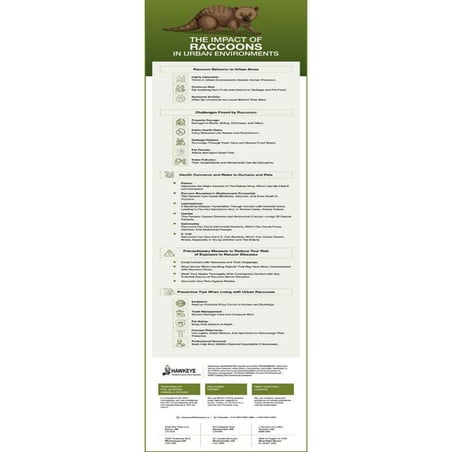 The Impact of Raccoons in Urban Environments.pdf