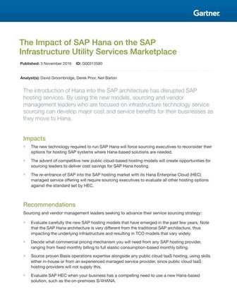 The Impact of SAP Hana on the SAP Infrastructure Utility Services Marketplace