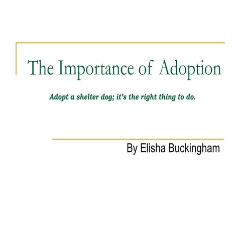 The Importance Of Adoption