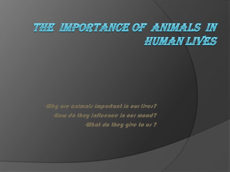 The importance of animals in human lives