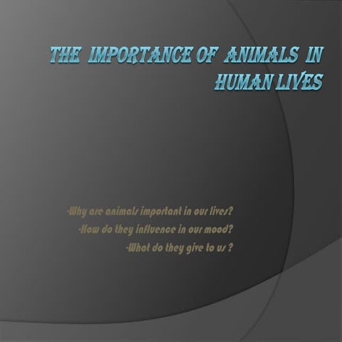The  importance of  animals  in human lives