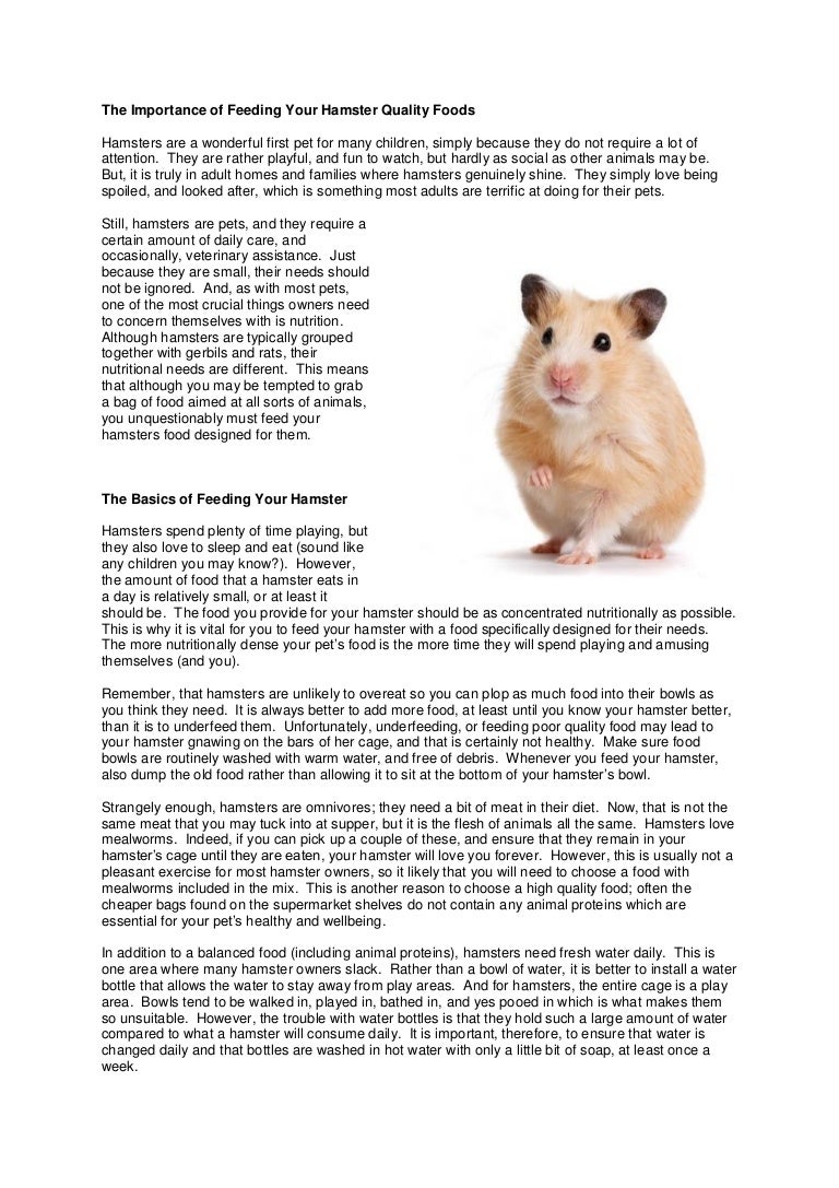 The Importance of Feeding Your Hamster Quality Foods
