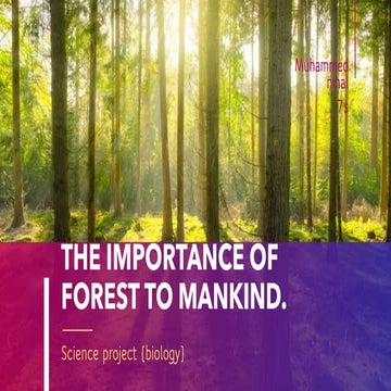 The importance of forest to mankind