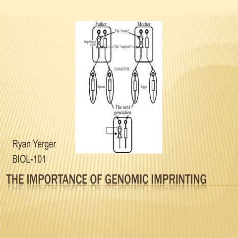 The importance of genomic imprinting