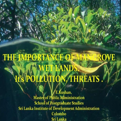 Mangrove & It,s threats